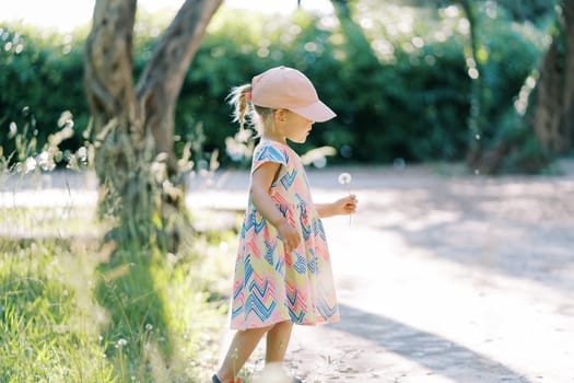 Little girl with a dandelion in her hand walks along the path in the park. Side view. High quality photo