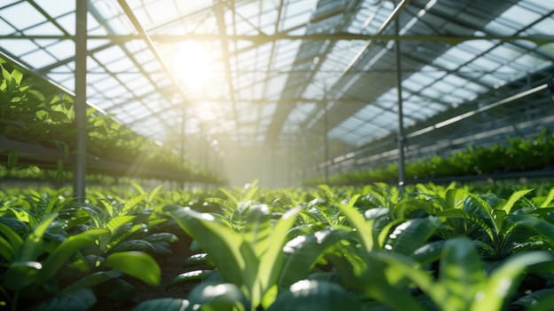The sunlight filters through the windows of a greenhouse, illuminating a lush garden filled with thriving terrestrial plants. AIG41