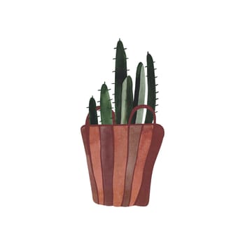 Cactus in a wicker basket. Plants for the home. Floriculture. Interior decoration. Isolated watercolor illustration on white background. Clipart