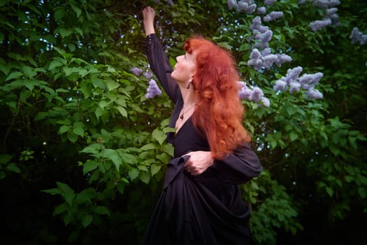 Elegant senior mature Woman in Black Dress by Blooming Lilac Bush at Dusk. Woman with red hair stands poised among lilac blooms