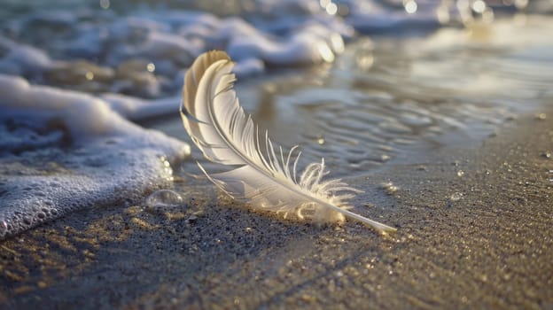 a feather is laying on the beach near the water . High quality AIG50
