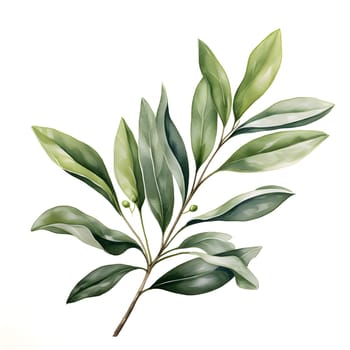 A detailed watercolor painting depicting a branch with vibrant green leaves on a white background.