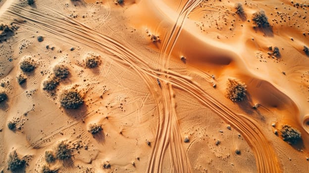 A natural landscape in the desert with tire tracks on a dirt road winding through the sand, framed by a clear blue sky and sparse plants AIG50