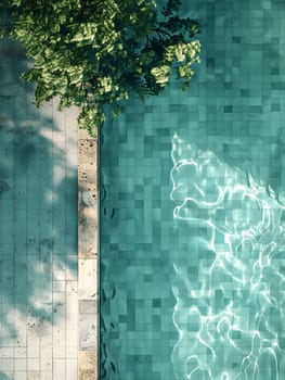 Aerial view of a rectangular swimming pool with water reflecting the greenery of a tree in the background, creating a natural landscape with vibrant tints and shades