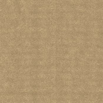 The texture of the background is light brown with a rough and embossed surface with mottled inclusions