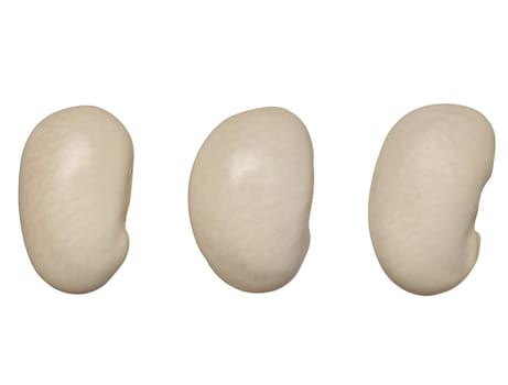 Raw white beans on isolated background, top view