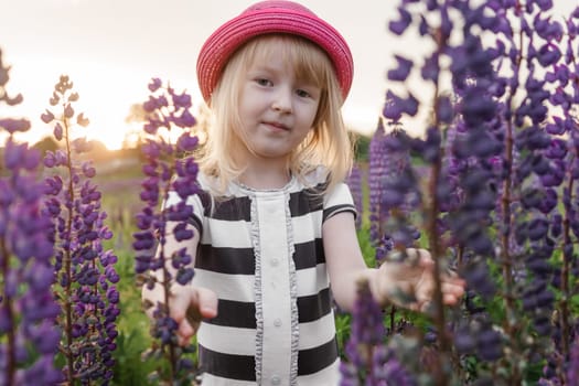 A blonde girl in a field with purple flowers. A little girl in a pink hat is picking flowers in a field. A field with lupines.