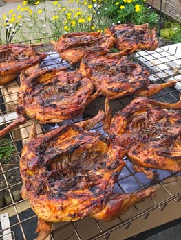 Delicious chickens wings and lamb barbecue on hot grill. High quality photo