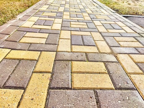 Bricks are like tiles on a path or sidewalk. Background, texture. A decorative brick path leads past a row of parked cars