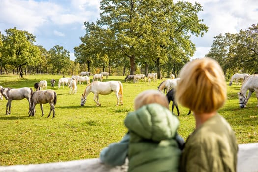 A woman and child are observing a group of horses grazing in a green field in a rural area, surrounded by plants and grass in the ecoregion