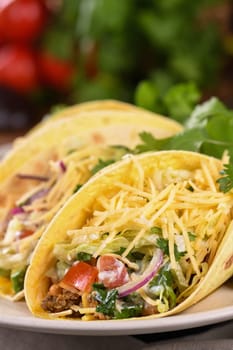 Taco with ground beef and avocado, cabbage and cheese. Mexican cuisine. Close-up.