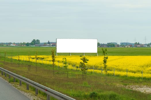 A field of yellow flowers with a billboard in the foreground under a clear sky.