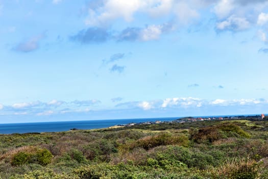 Beautiful landscape with green grass and bushes by the sea. Sand dunes overgrown with grass on the north sea.