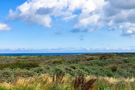 Beautiful landscape with green grass and bushes by the sea. Sand dunes overgrown with grass on the north sea.