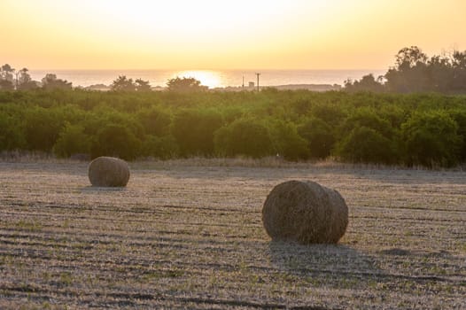 Straw bales on farmland with blue cloudy sky 1