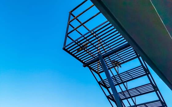 Great tailed Grackle bird sits on power pole cable ladder stairs city in Playa del Carmen Quintana Roo Mexico.