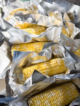 This image showcases fresh corn on the cob, neatly arranged in vacuum-sealed plastic packaging to preserve its freshness and flavor, ready for distribution or sale.