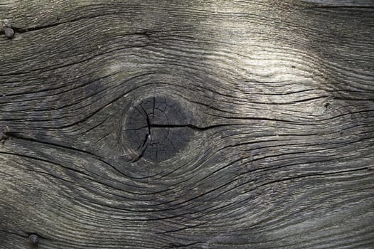 Detailed view of a piece of aged wood with a gray-brown coloration that emphasizes its natural textures and patterns. Deep cracks and knots cover the surface