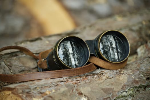Binoculars with a brown leather strap is resting atop a large brown tree stump, lenses of the binoculars reflecting the image of trees