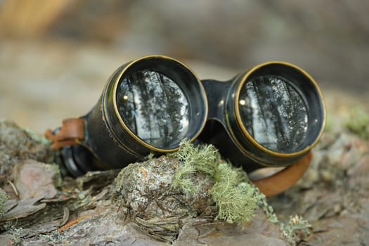 A pair of aged binoculars with a leather strap is resting in forest setting on base of pine needles and moss