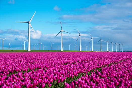 A vibrant field teeming with purple tulips sways gracefully in the wind, with iconic Dutch windmills standing in the background.