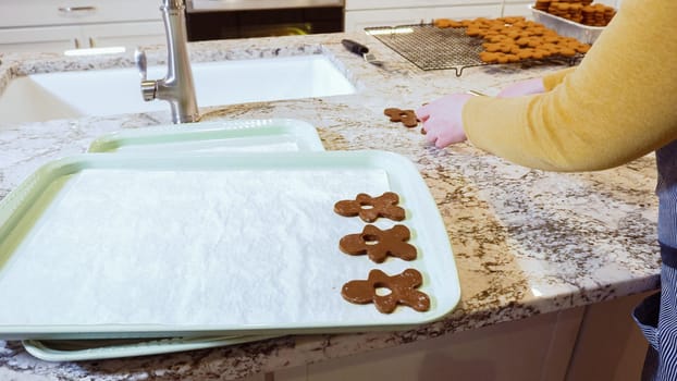 Freshly cut-out gingerbread cookies rest on a baking sheet, lined with parchment paper, awaiting a cool and refreshing chill in the fridge before their delicious transformation in the oven.
