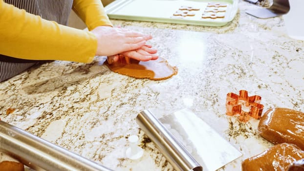 Using various festive cookie cutters, we're cutting out charming gingerbread cookies from the rolled dough on the sleek marble counter, bringing holiday cheer to the modern kitchen.