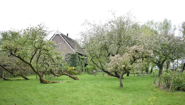 GIETHOORN, NETHERLANDS, April, 27, 2024, Beautiful village much loved by tourists. High quality photo