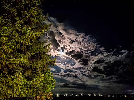 Moonlit Night Sky Over Silhouetted Pines. A full moon illuminates the clouds and silhouette of pine trees at night