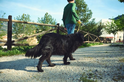 Selective focus on black dog being walked by his family on the nature. People and animals concept. Full length portrait