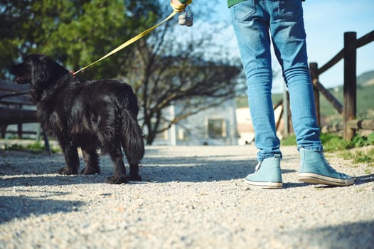 Rear view of a child walking his pet dog on a leash. People and animals concept.