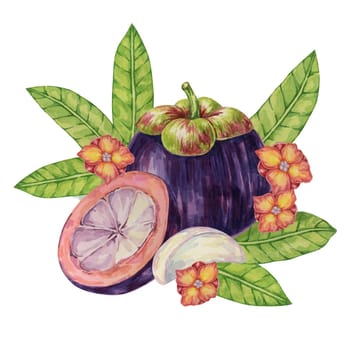 Halved cut mangosteen, slice, flowers, leaf of the tree tropical Asian fruit clipart. Garcinia mangostana plant watercolor illustration for sticker, food menu, cosmetic, beauty, juice, apparel