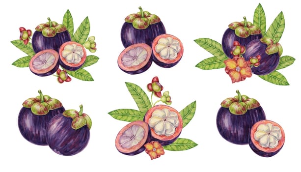 Mangosteen compositions set with flovers and leaves, whole, halved and sliced, tropical fruits clipart. Garcinia plant watercolor illustration for sticker, , juice menu, sweets, beauty, print, apparel