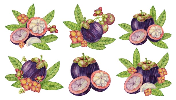 Mangosteen compositions set with flovers and leaves, whole, halved and sliced, tropical fruits clipart. Garcinia plant watercolor illustration for sticker, , juice menu, sweets, beauty, print, apparel