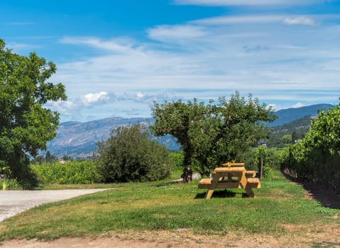 Wooden table and benches in recreation area with beautiful overview of mountains.