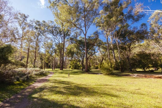 Pound Bend Reserve in Warrandyte State Park on a cool autumn day in Warrandyte, Victoria, Australia.