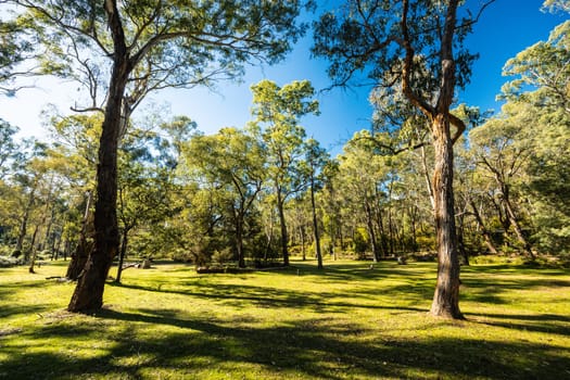 Pound Bend Reserve in Warrandyte State Park on a cool autumn day in Warrandyte, Victoria, Australia.