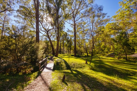 Pound Bend Reserve in Warrandyte State Park on a cool autumn day in Warrandyte, Victoria, Australia.