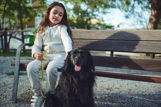 Caucasian little kid girl walking her cocker spaniel dog, sitting on bench and plying with her pet in the nature. Playing pets and domestic animals concept. People. Childhood. Healthy active lifestyle