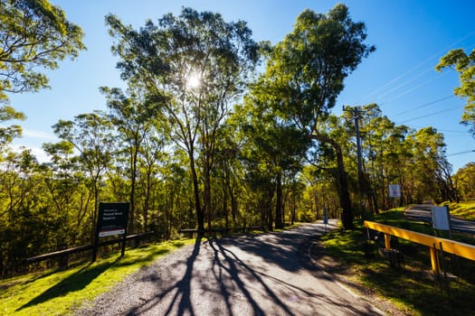 Pound Bend Reserve in Warrandyte State Park on a cool autumn day in Warrandyte, Victoria, Australia.