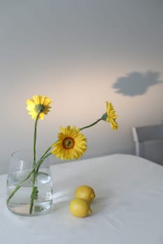 still life with lemons and yellow gerberas in a glass jar on a table covered with linen tablecloth. Summer composition with lemons and yellow flowers on kitchen table