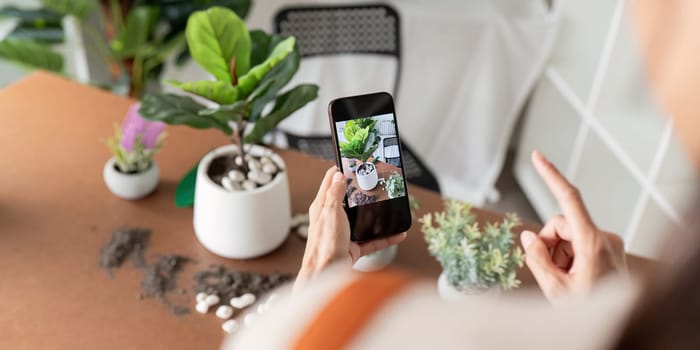 Hobby, young woman hand using mobile phone taking photo of pot, houseplant with dirt soil on table at home.