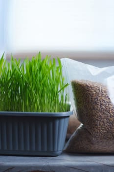Bags filled with fresh grass, possibly for cats or growing microgreens, are placed side by side.