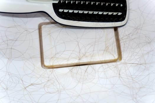 Hair clump from the shower drain. Cleaning or hair loss concept.