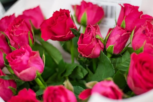 A stunning bouquet of garden roses, including hybrid tea roses, in vibrant red hues wrapped in crisp white paper. Perfect for flower arranging or as a thoughtful gift