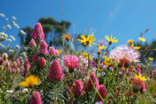 A garden with a variety of flowers including pink, yellow, and purple. The flowers are in full bloom and are arranged in a way that creates a colorful and vibrant scene