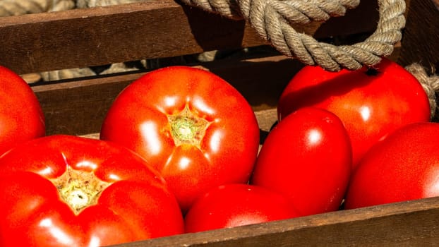 Wooden crate with fresh ripe tomatoes isolated in a rustic composition,