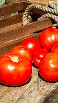 Close up of fresh ripe tomatoes isolated in a rustic composition,