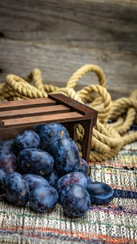 Ripe blue plums in a wooden crate in a rustic composition.