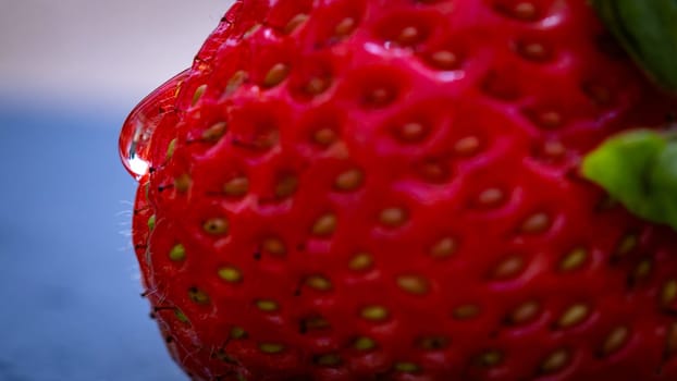 Close up of fresh strawberry showing seeds achenes. Water drop on fresh ripe red strawberry.